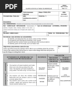 planificacion de clase demostrativa.docx