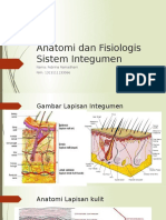 Anatomi Dan Fisiologis Sistem Integumen