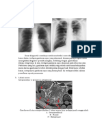 Anatomi Radiologi