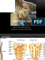 Anestesia Caudal