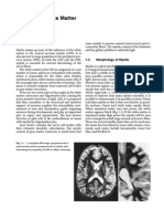 Myelin and White Matter