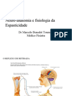 Fisiopatologia Da Espasticidade