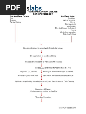 Pathophysiology