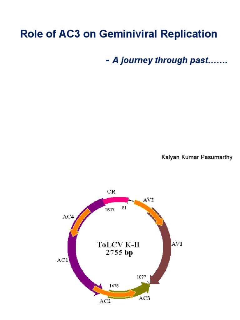 Role of AC3 On Geminiviral Replication A Journey Through Past PDF