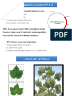 Identification of Sequence Elements Regulating Promoter Activity and Replication of a Monopartite Begomovirus-Associated DNA β satellite