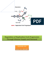 Regulation of Replication Fork Progression Through Histone Supply and Demand