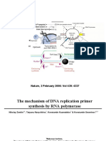 The mechanism of DNA replication primer synthesis by RNA polymerase
