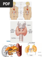 Contoh Kasus Dilema Etik Keperawatan Rofiq