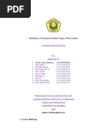 Download Budidaya Tanaman Kedelai Tanpa Olah Tanah 3 by Azzam Baihaqi SN303913405 doc pdf