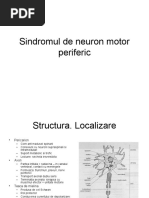 Sindromul de Neuron Motor Periferic