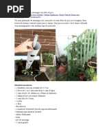 Plantação Vertical de Morangos Em Tubo de Pvc