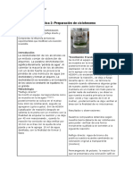 practica 2 obtencion de ciclohexenol.docx