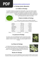 Download moringa by rountraore SN30397780 doc pdf