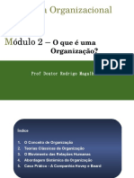 Teoria Organizacional 2