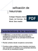 Clasificacion de Neuronas - 3 - 2010