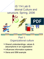 CSIS 114: Organizational Culture and Structure