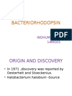 Bacteriorhodopsin structure and function