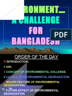 Environmental Challenges To BD