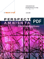 PERSPECTIVA AMBIENTAL - Electromagnetismo