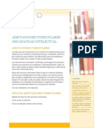 Discapacidad Intelectual PDF