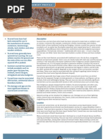 Download Scar Trees by Veteran Tree Group Australia SN30413664 doc pdf