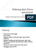 Hidung Dan Sinus Paranasal 2003