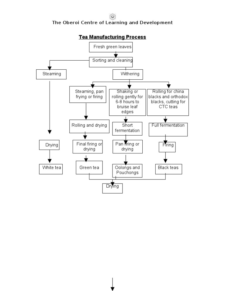 Tea Manufacturing Process Overview | PDF