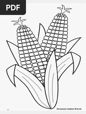 Gambar Sayur Corel Draw Concert Pdf Pdf