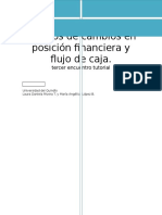 Estados de Cambios en Posición Financiera y Flujo de Caja