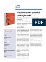 Napole n Gesti n de Proyectos