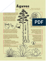 Infografias Dibujando Una Vida Sostenible