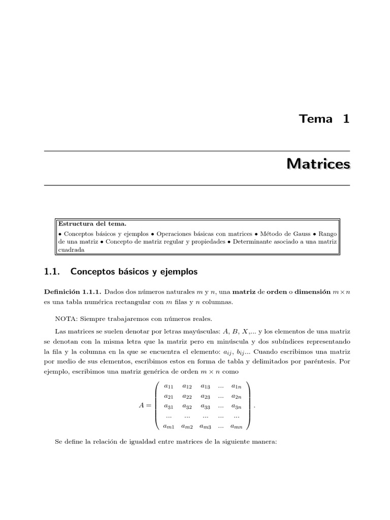 Propiedades de Las Matrices | PDF | Matriz (Matemáticas) | Determinante