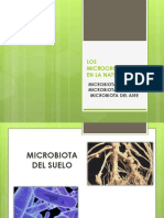 Microbiota Suelo, Agua y Aire PDF