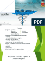 Topografia Portiunii Faciale A Capului 2015