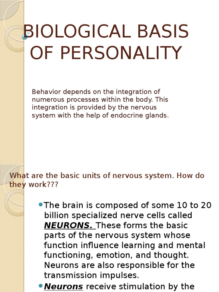 Biological Basis of Personality PDF Nervous System Neuron