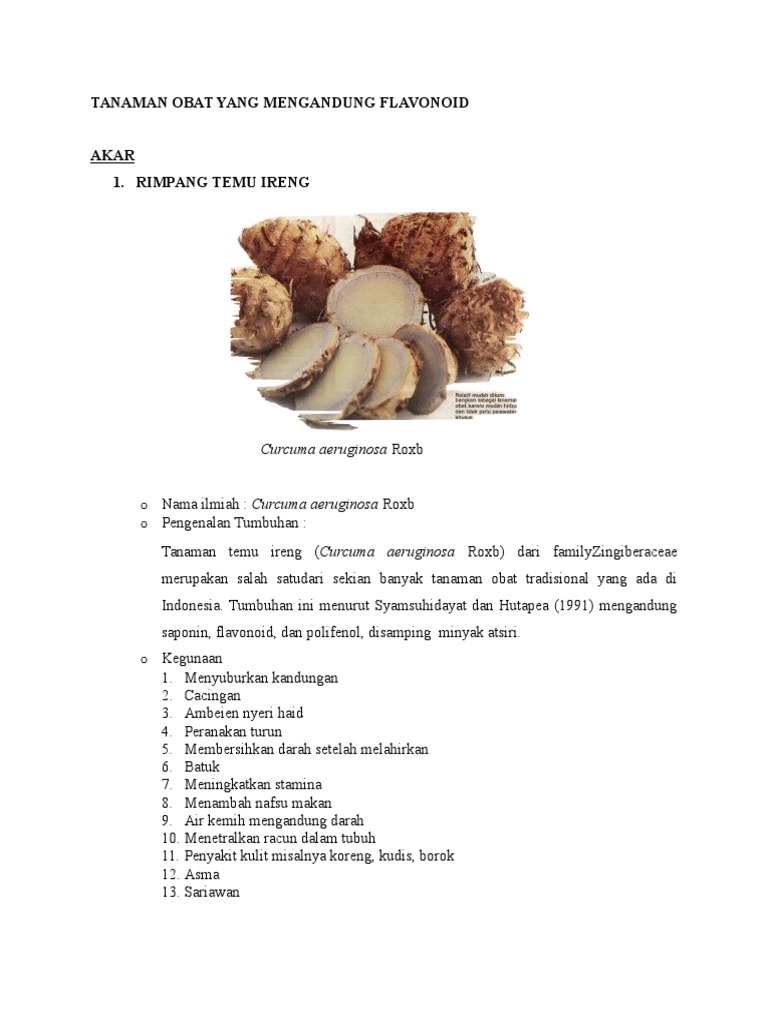 Tanaman Obat Yang Mengandung Flavonoid