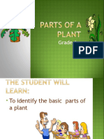 Plant Parts