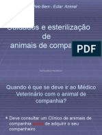 Cuidados Animais Companhia - Sofia Pacheco