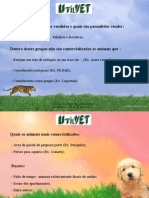 Palestra Animal - Utilvet