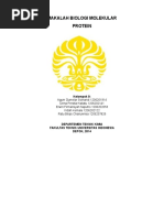 Download Protein Makalah by Andra Bernama SN304373163 doc pdf