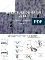 The Lecture On Brain 2013