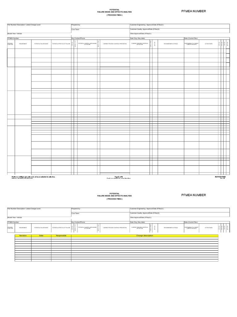 PFMEA Formato | PDF | Business Process | Computing
