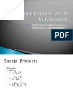 Algebraic Expressions & Polynomials