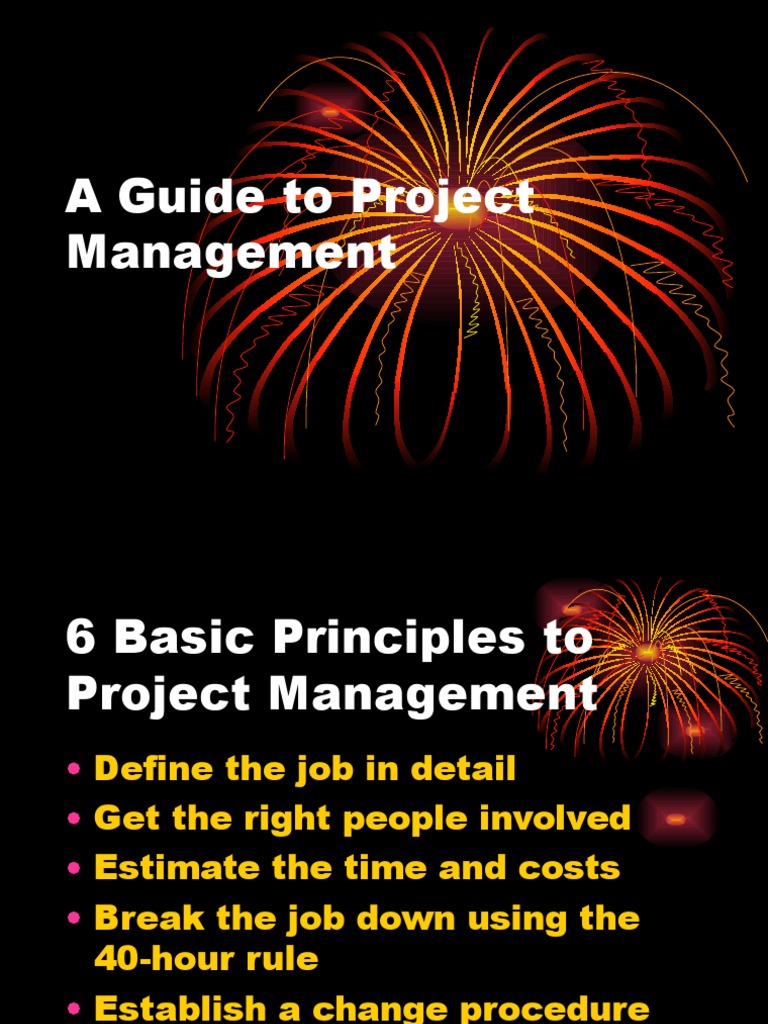 Project Management Principles Guide | PDF | Project Management | Risk ...