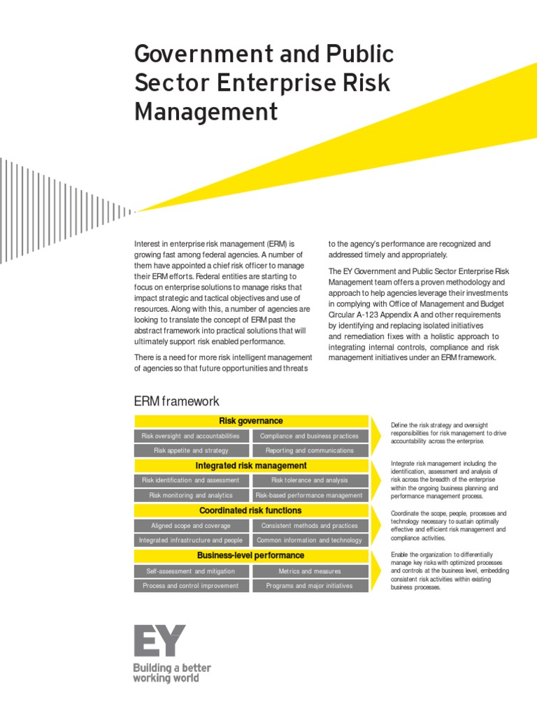 EYGovernmentandPublicSectorEnterpriseRiskManagement.pdf Risk