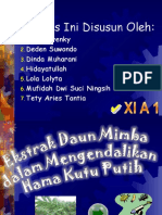 Karya Tulis Bindo (Powerpoint)