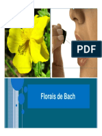 Aula de florais.pdf