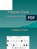 How To Read A Pedigree