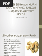 Download Isolasi Senyawa Murni Dari Rimpang Bangle by Amelz D OrdinarypazZtinajjah SN304529856 doc pdf