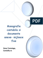 Monografie Contabila Mijloace-Fixe PDF